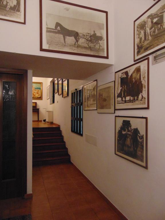 Hotel Calla' Policoro Buitenkant foto
